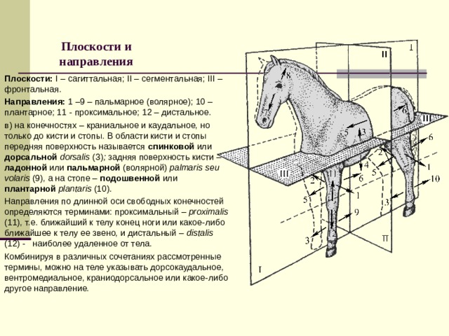 Плоскости 1 2 3 4