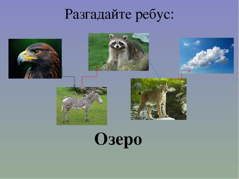 Ребус озеро. Ребус озеро Байкал. Ребусы про Байкал. Ребусы про Байкал для детей.