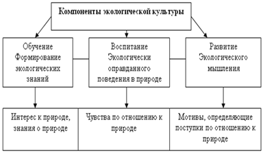 Понятие экологической культуры. Составляющие компоненты экологической культуры. Таблица компонентов экологической культуры. Компоненты экологической культуры личности. Компоненты экологической культуры схема.