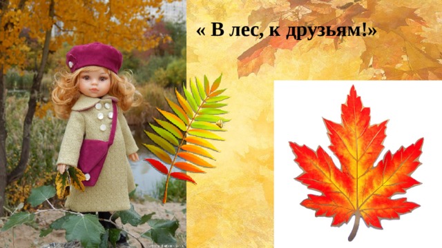 « В лес, к друзьям!»  
