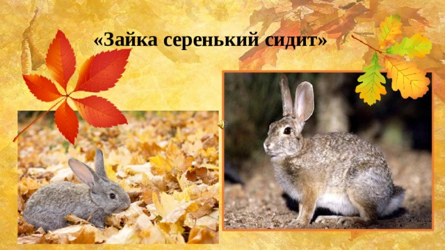 «Зайка серенький сидит» 