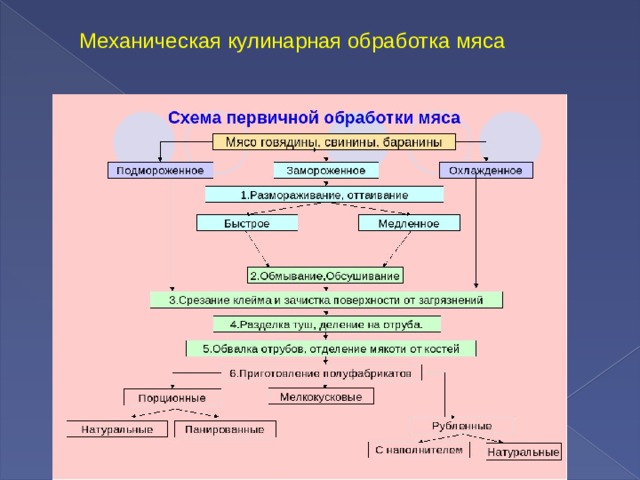 Стадии кулинарной обработки мяса. Механическая кулинарная обработка мяса. Способы кулинарной обработки мяса.