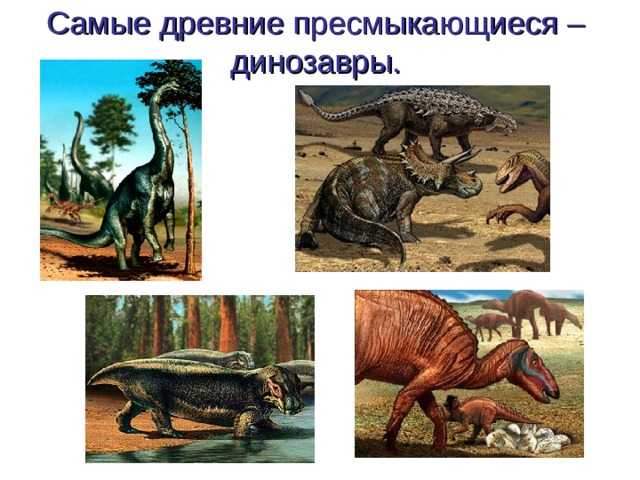 Самые древние пресмыкающиеся – динозавры. 