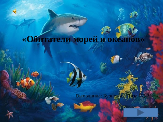 Моря и океаны картинка для детей