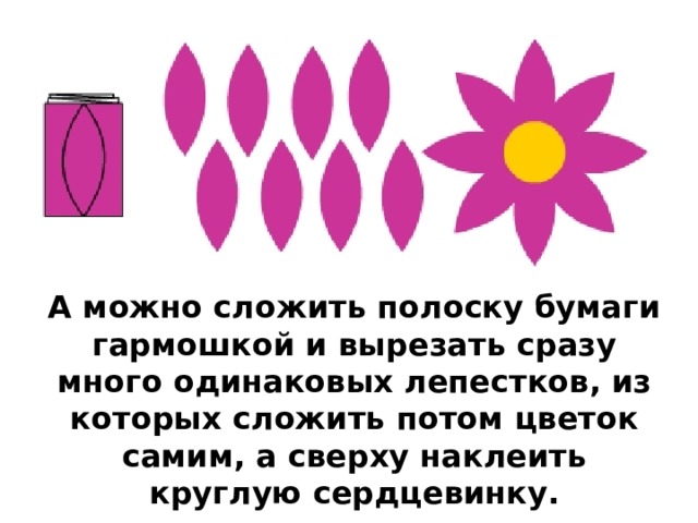 А можно сложить полоску бумаги гармошкой и вырезать сразу много одинаковых лепестков, из которых сложить потом цветок самим, а сверху наклеить круглую сердцевинку. 