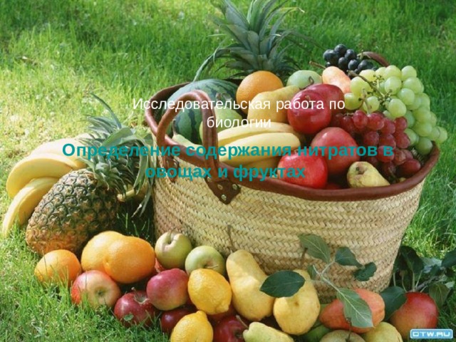 Исследовательская работа по биологии Определение содержания нитратов в овощах и фруктах    