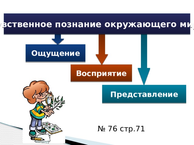    Чувственное познание окружающего мира Ощущение Восприятие Представление № 76 стр.71 