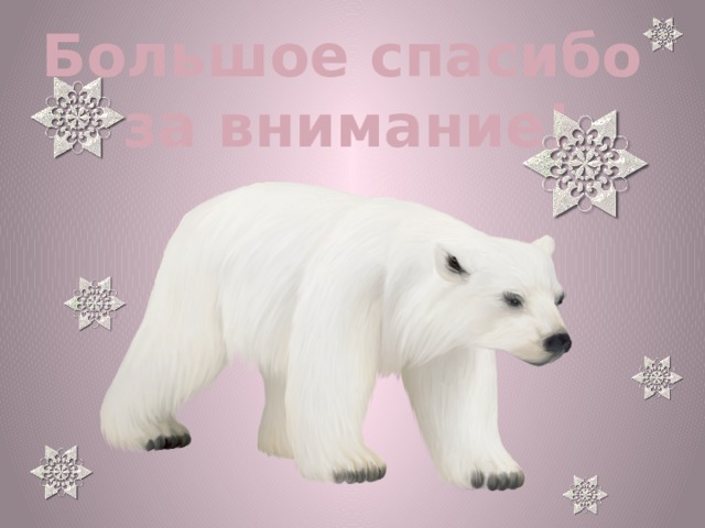 Большое спасибо  за внимание! 