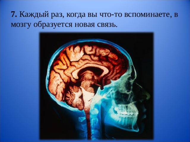 Проект 9 класс мозг Интересные факты о головном мозге