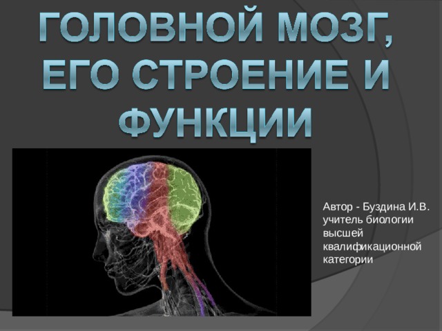 Автор - Буздина И.В. учитель биологии высшей квалификационной категории 