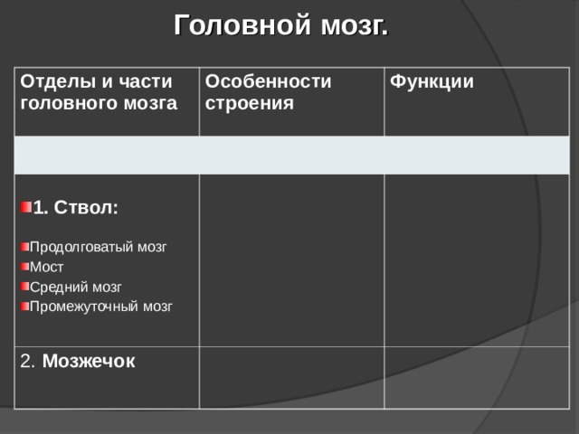 Головной мозг. Отделы и части головного мозга Особенности строения Функции 1. Ствол: 2. Мозжечок Продолговатый мозг Мост Средний мозг Промежуточный мозг 
