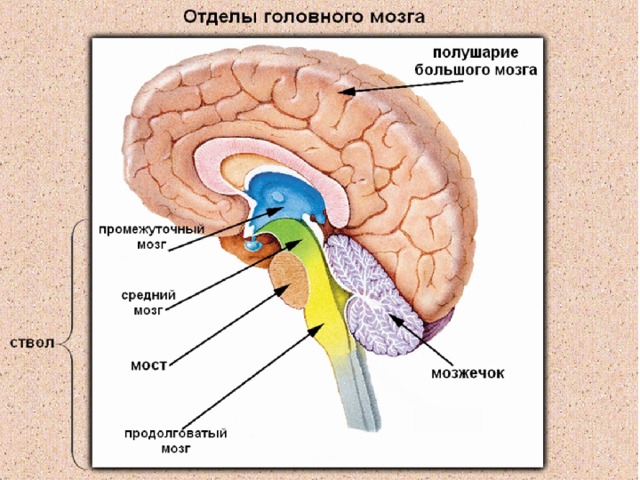 Диск 