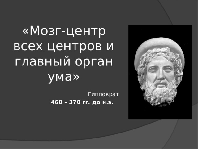 «Мозг-центр всех центров и главный орган ума»      Гиппократ   460 – 370 гг. до н.э. 