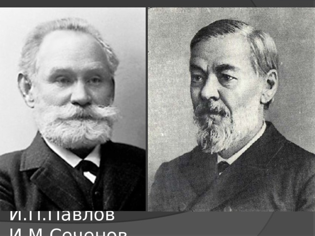 И.П.Павлов И.М.Сеченов 