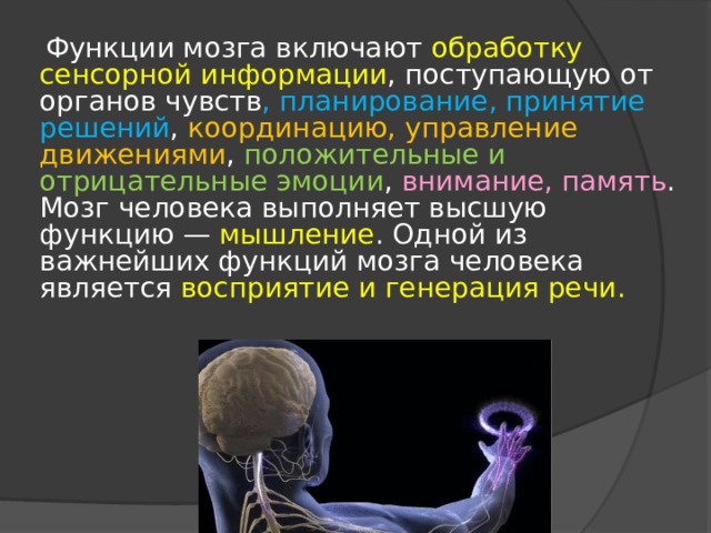  Функции мозга включают обработку сенсорной информации , поступающую от органов чувств , планирование, принятие решений , координацию, управление движениями , положительные и отрицательные эмоции , внимание, память . Мозг человека выполняет высшую функцию — мышление . Одной из важнейших функций мозга человека является восприятие и генерация речи . 