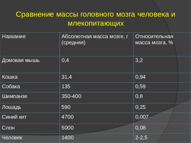 Сравнение массы головного мозга человека и млекопитающих Название Абсолютная масса мозге, г (средняя) Домовая мышь Относительная масса мозга, % 0,4 Кошка 31,4 3,2 Собака Шимпанзе 0,94 135 350-400 0,59 Лошадь 0,8 590 Синий кит 4700 0,25 Слон 0,007 5000 Человек 1400 0,08 2-2,5 
