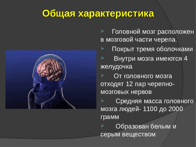 Общая характеристика   Головной мозг расположен в мозговой части черепа.  Покрыт тремя оболочками  Внутри мозга имеются 4 желудочка  От головного мозга отходят 12 пар черепно-мозговых нервов  Средняя масса головного мозга людей- 1100 до 2000 грамм  Образован белым и серым веществом    