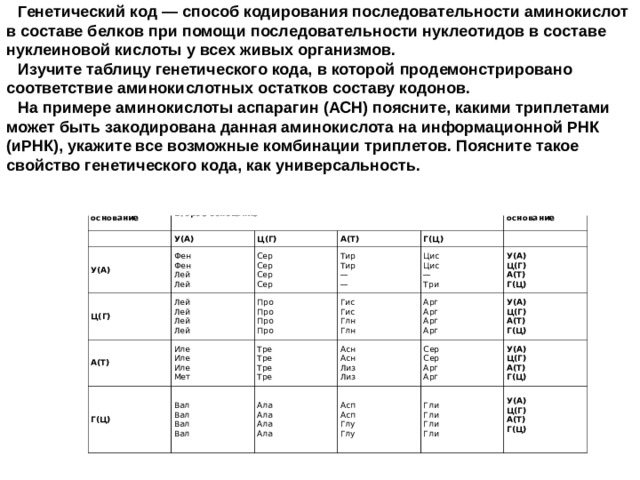 Каждую аминокислоту кодирует. Как кодируется аминокислота.