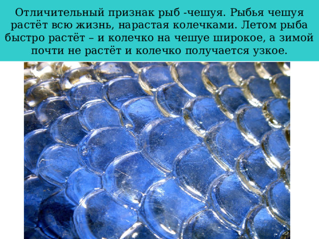 Конструирование современного урока" Контент-платформа Pandia.ru