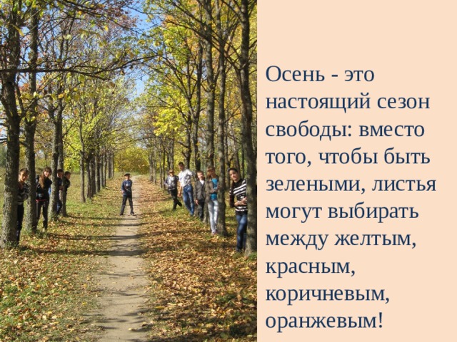 Осень - это настоящий сезон свободы: вместо того, чтобы быть зелеными, листья могут выбирать между желтым, красным, коричневым, оранжевым! 