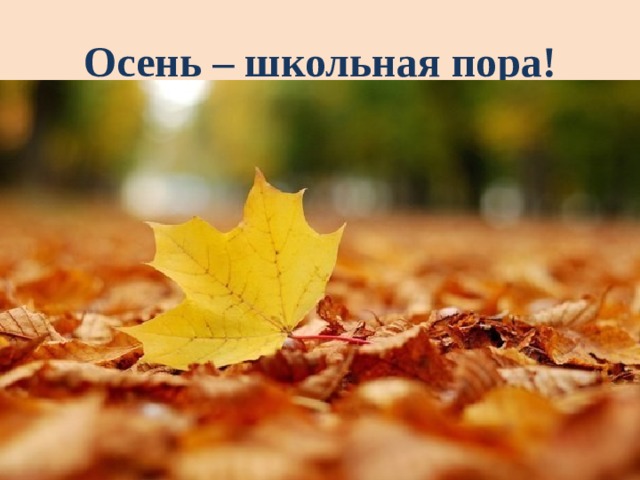 Осень – школьная пора! 