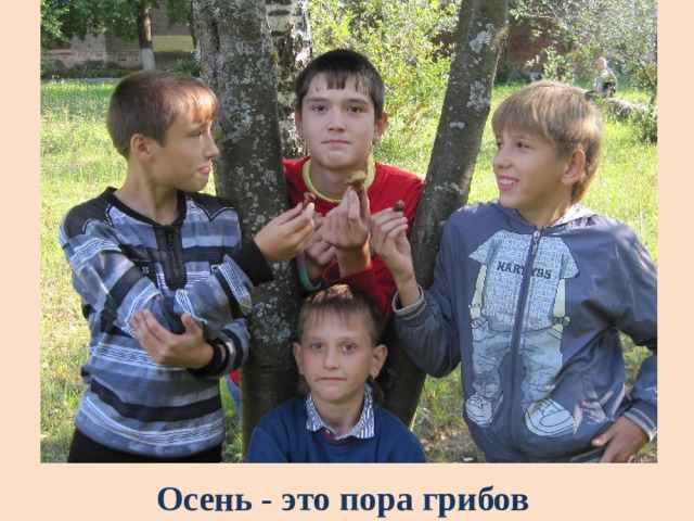 Осень - это пора грибов 