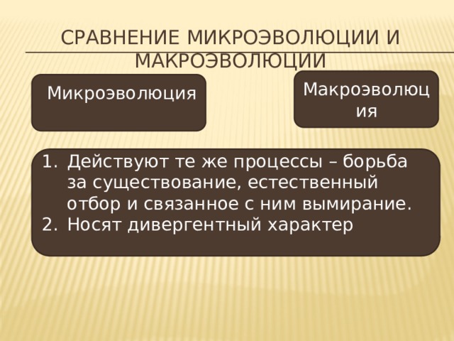 Сравнение микроэволюции и макроэволюции Макроэволюция  Микроэволюция Действуют те же процессы – борьба за существование, естественный отбор и связанное с ним вымирание. Носят дивергентный характер 