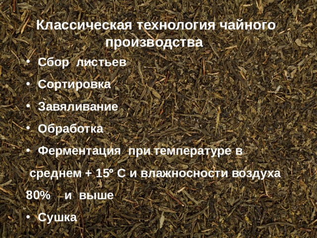 Классическая технология чайного производства Сбор листьев Сортировка Завяливание Обработка Ферментация при температуре в  среднем + 15º С и влажносности воздуха 80% и выше Сушка  