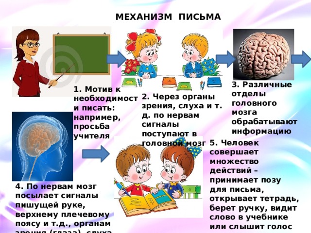 План обучения помощи пожилому человеку при нарушении слуха и зрения