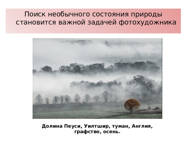 Поиск необычного состояния природы становится важной задачей фотохудожника Долина Пеуси, Уилтшир, туман, Англия, графство, осень. 
