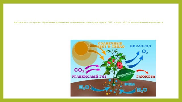 Фотосинтез — это процесс образования органических соединений из диоксида углерода ( CO2 ) и воды ( H2O ) с использованием энергии света. 