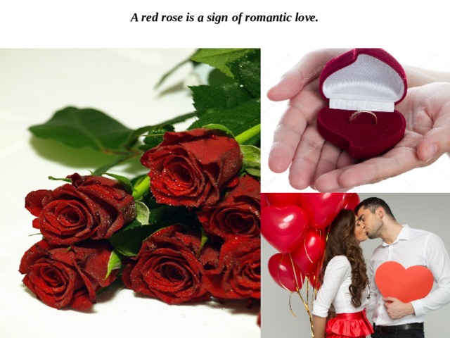 A red rose is a sign of romantic love.   