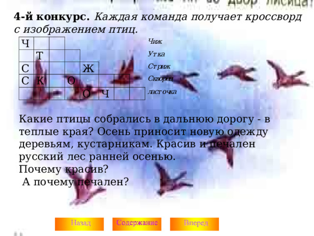 4-й  конкурс. Каждая команда получает кроссворд с изображением птиц.  Какие птицы собрались в дальнюю дорогу - в теплые края? Осень приносит новую одежду деревьям, кустарникам. Красив и печален русский лес ранней осенью. Почему красив?  А почему печален?  