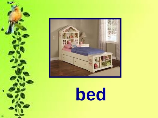 bed 