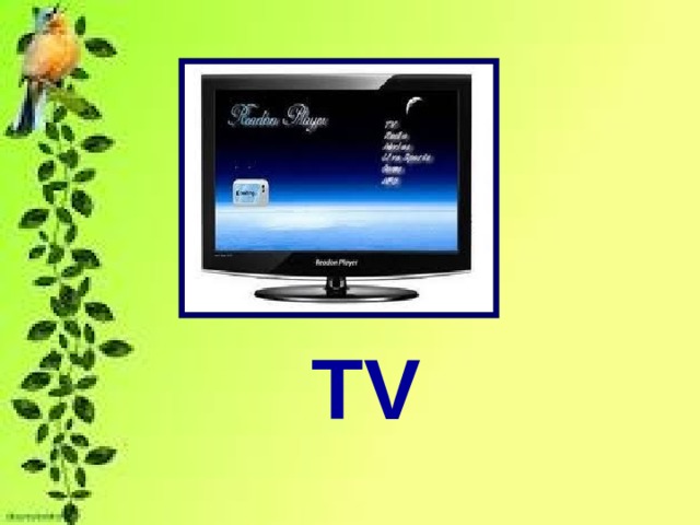 TV 