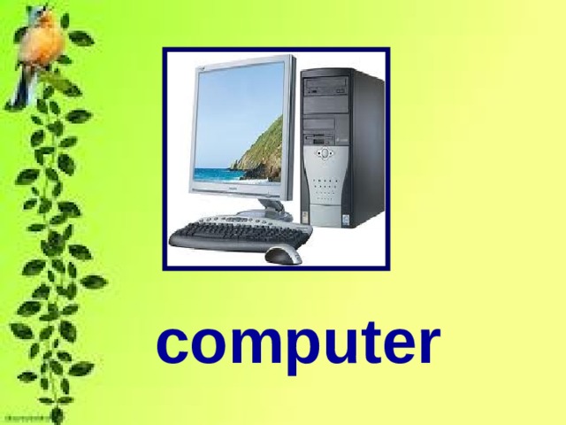 computer 