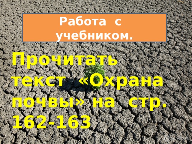 Работа с учебником. Прочитать текст «Охрана почвы» на стр. 162-163 