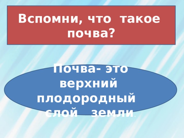 Вспомни, что такое почва? Почва- это верхний плодородный слой земли . 