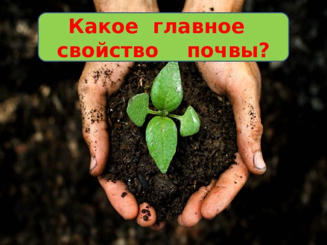 Какое главное свойство почвы? 