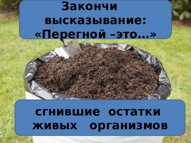 Закончи высказывание: «Перегной –это…» сгнившие остатки живых организмов 