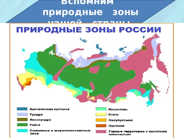 Вспомним природные зоны нашей страны. 