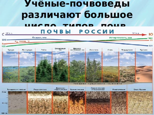 Учёные-почвоведы различают большое число типов почв. 