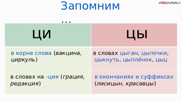 Корень буква корень окончание. Цы-Ци правило. Слова с цы и Ци. Правописание цы и Ци правило. Слова с Ци в корне.