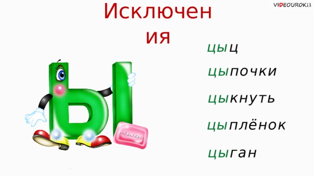 Исключения цы ц цы почки цы кнуть цы плёнок цы ган  