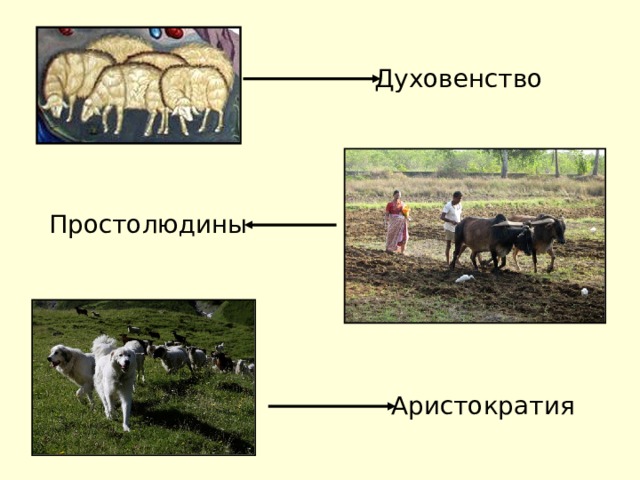 Духовенство Простолюдины Аристократия 