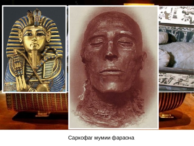Саркофаг мумии фараона 