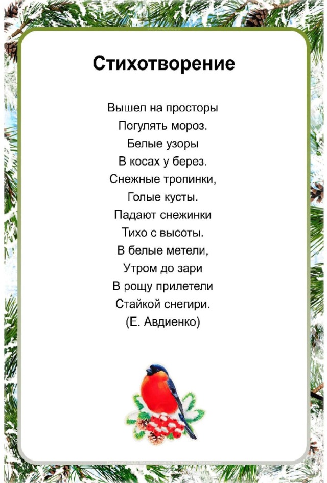 Загадки о птицах для дошкольников