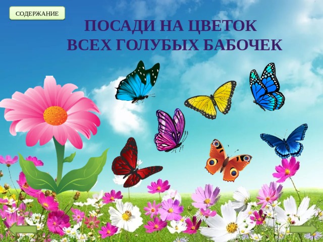 СОДЕРЖАНИЕ Посади на цветок всех голубых бабочек 