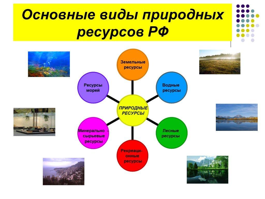 Какие виды природных ресурсов определяют лицо района. Какими природными ресурсами богата Россия. Виды природных ресурсов. Основные виды природных ресурсов. Виды природных ресурсов России.