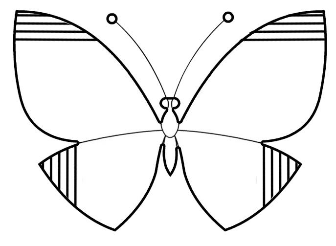 Бабочка рисунок средняя группа